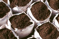 Big Bag Mutterboden für Mecklenburgische Seenplatte bestellen